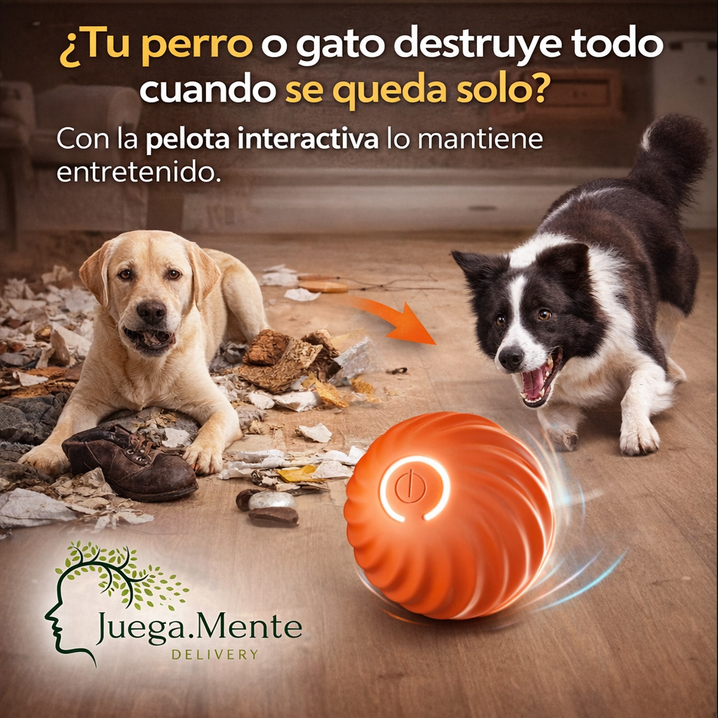Un juguete que lo mantiene activo y feliz.