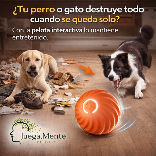 Un juguete que lo mantiene activo y feliz.