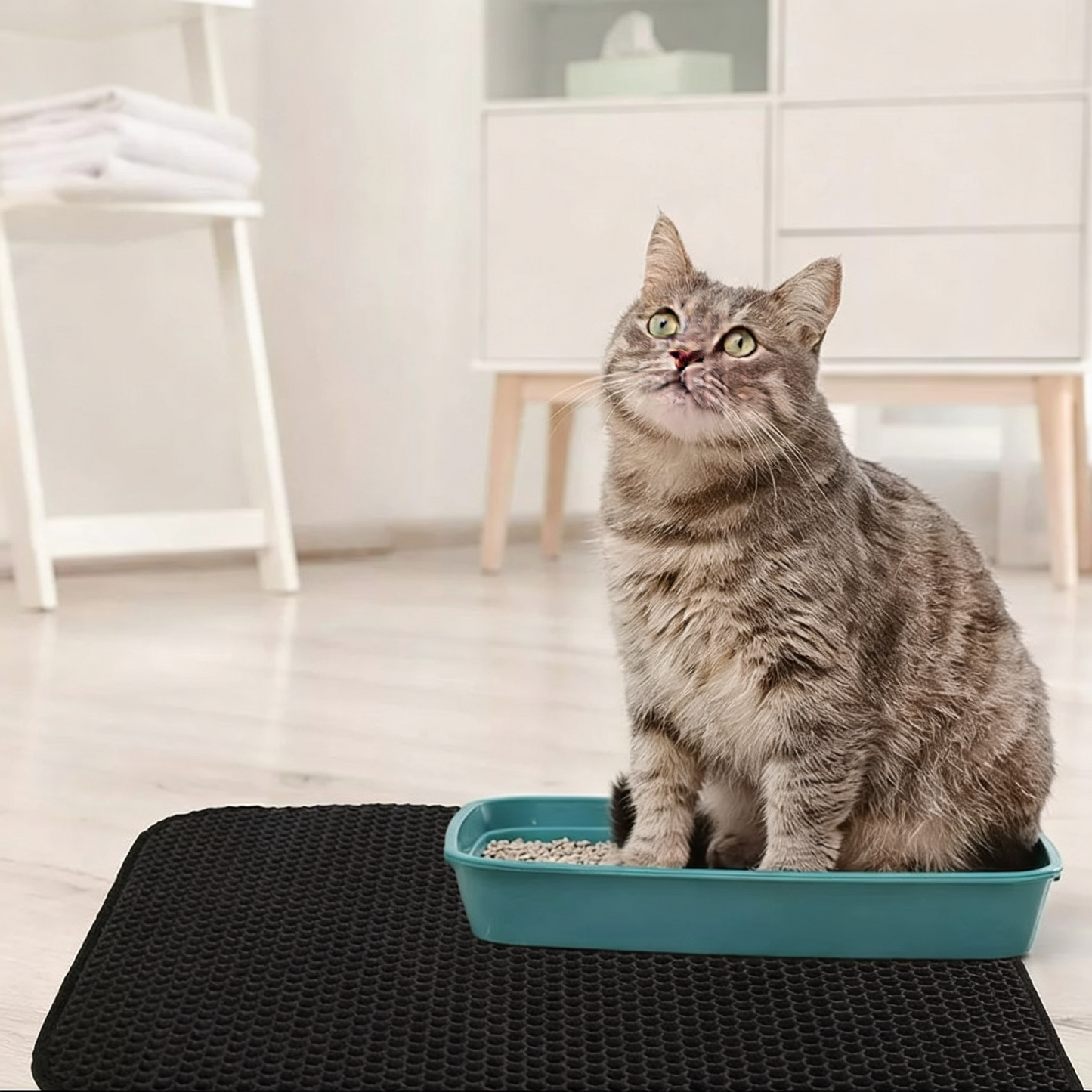 ¡Compra hoy! Ahorra arena y tiempo de limpieza todos los días.